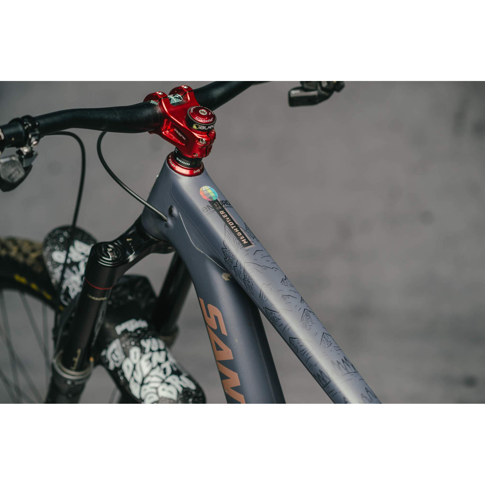 DYEDBRO Frame Protection, EWS Mountains Black