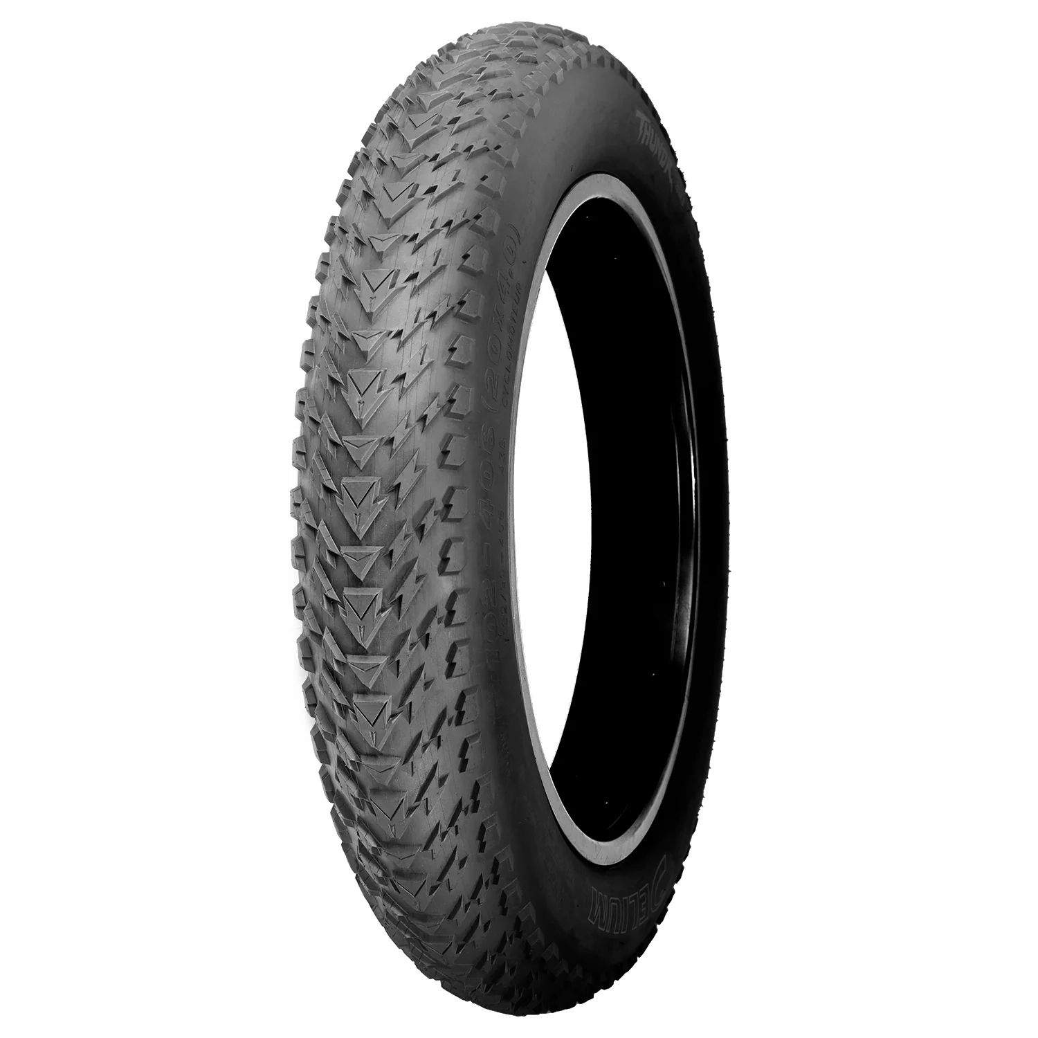 Delium Tire Thundr E-Bike Tire, 20x4.0", Black