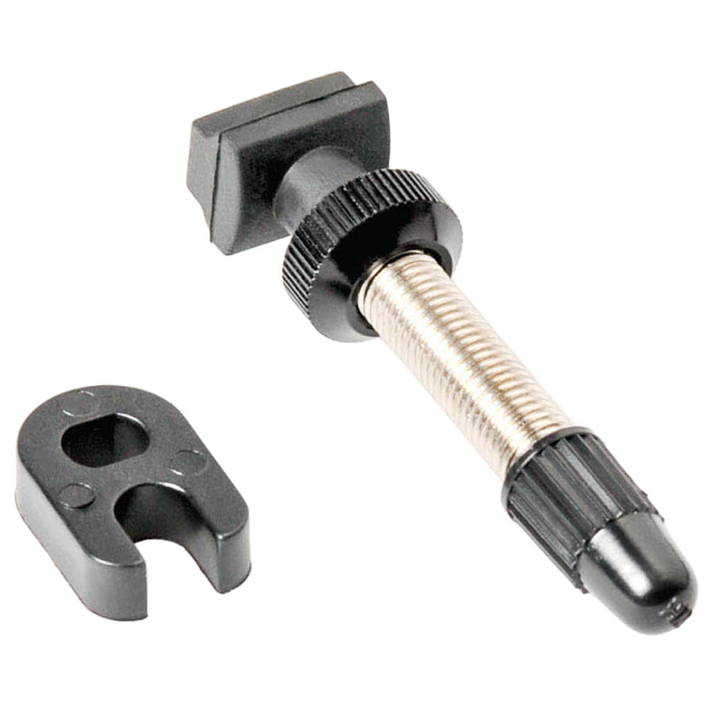 DT Swiss Brass Tubeless Valve, 53mm, Each