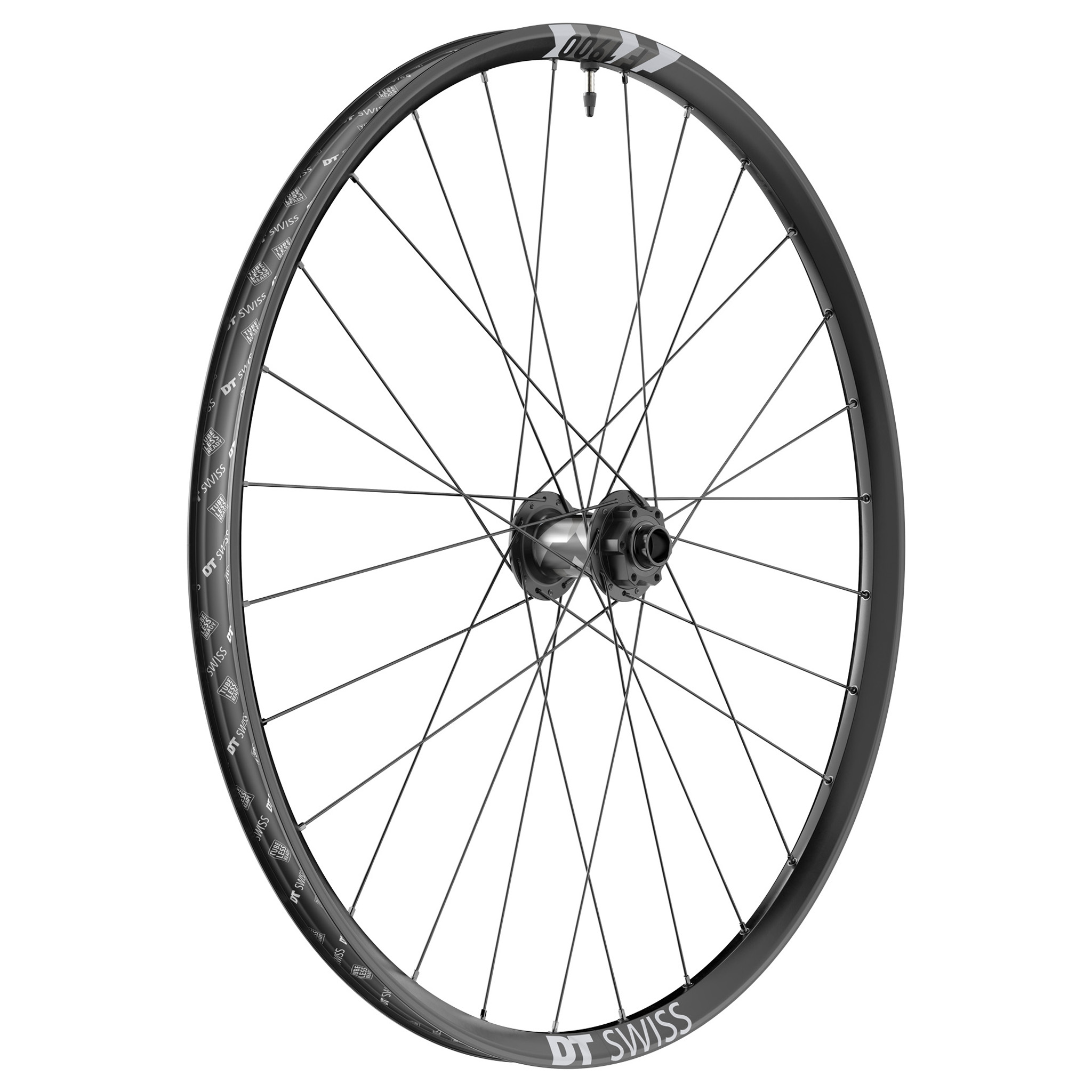 DT Swiss F 1900 Classic Front Wheel, 29", 20x110 Boost