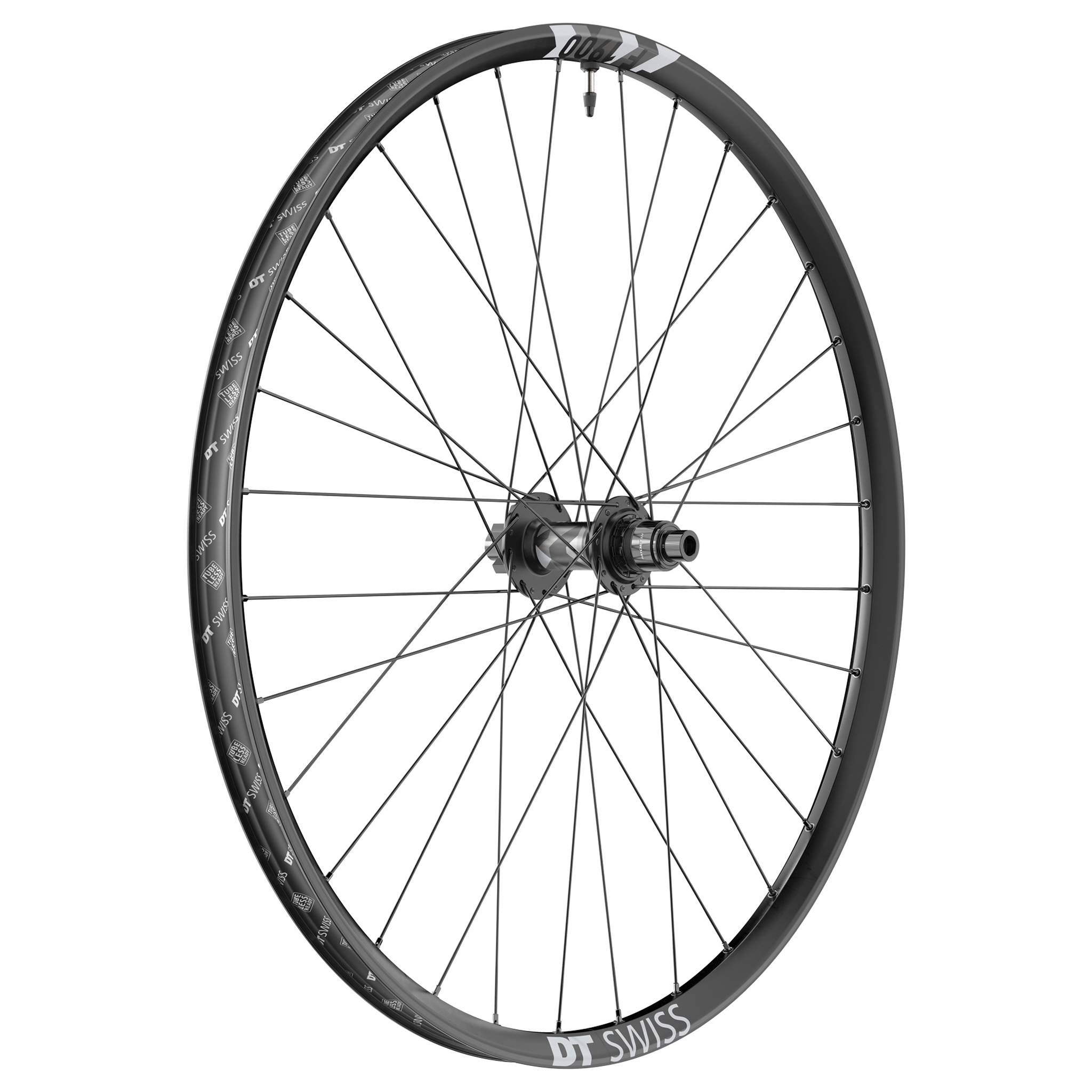 DT Swiss F 1900 Classic Rear Wheel, 29", 12x157 Boost, XD