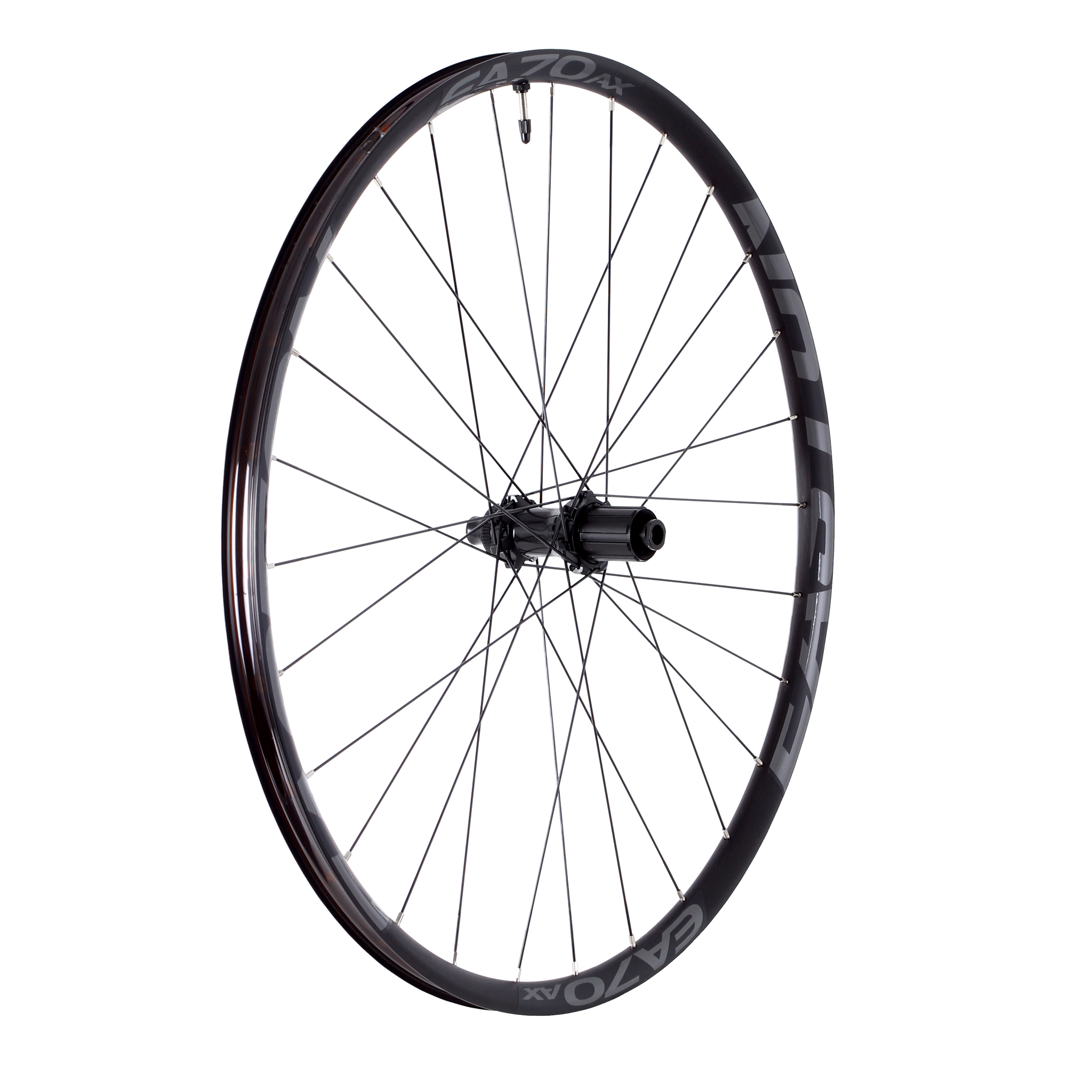 Easton EA70 AX Disc 650b R Wheel, 10x135+12x142, HG