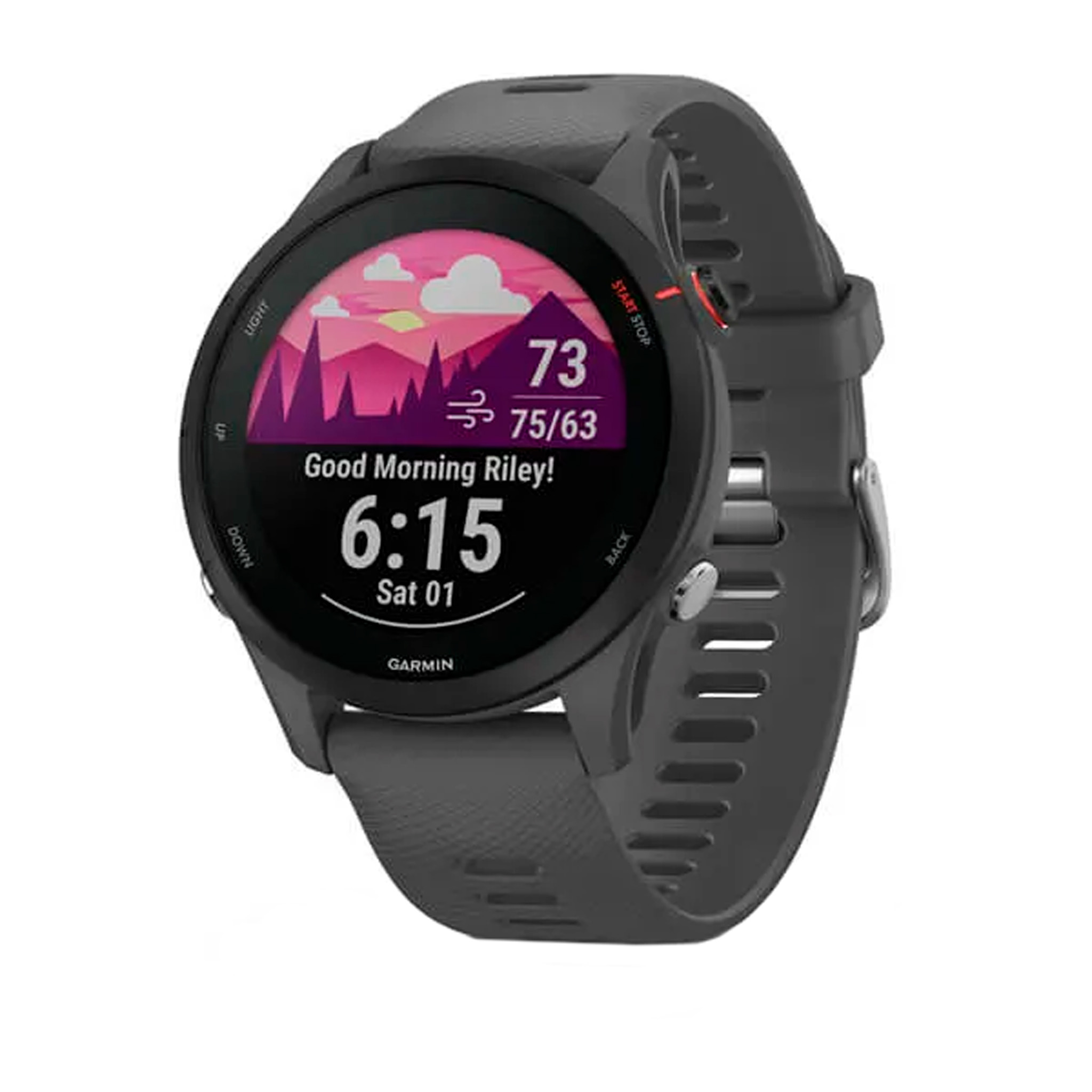 Garmin Forerunner 255, Slate Gray