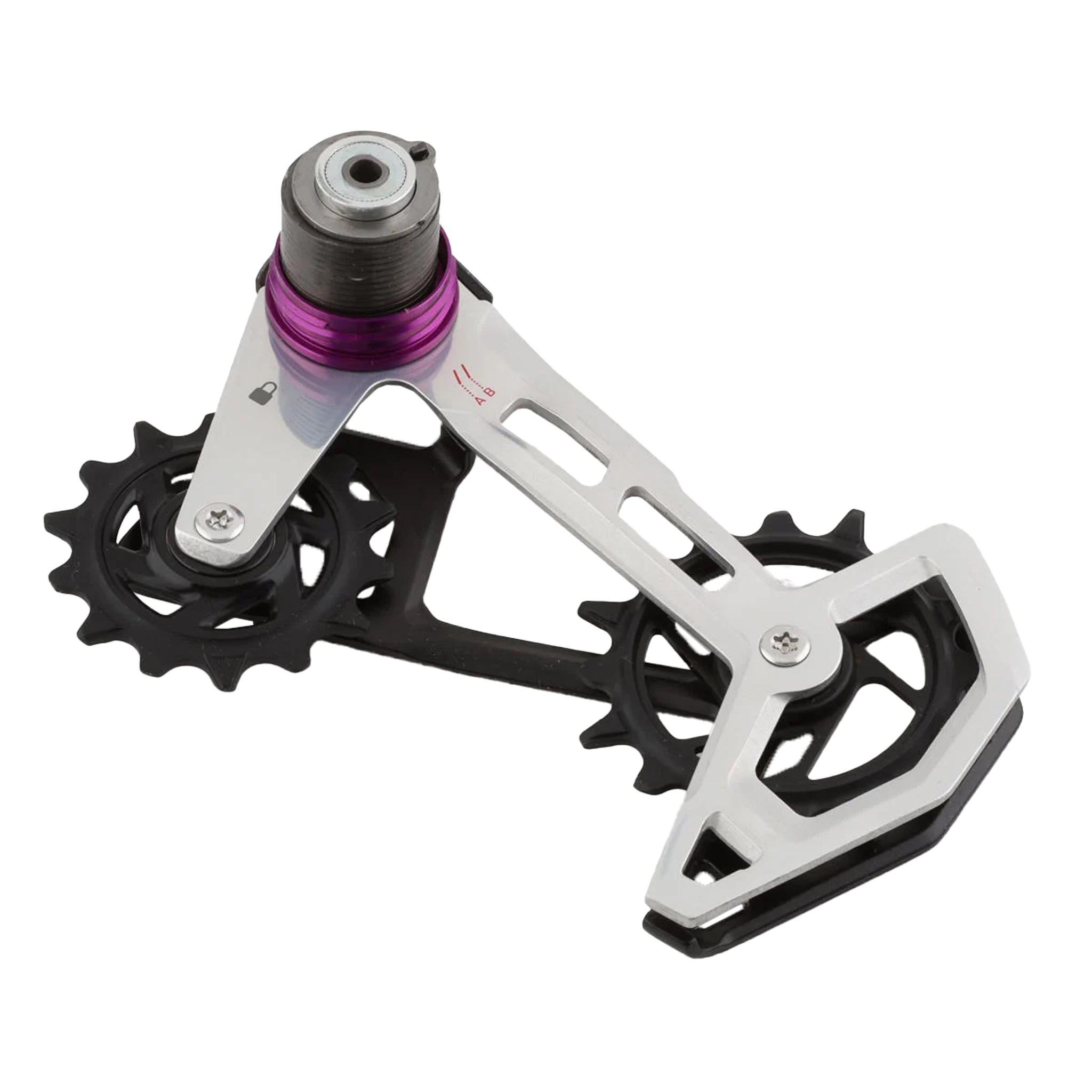 SRAM XX T-Type AXS Replacement Cage