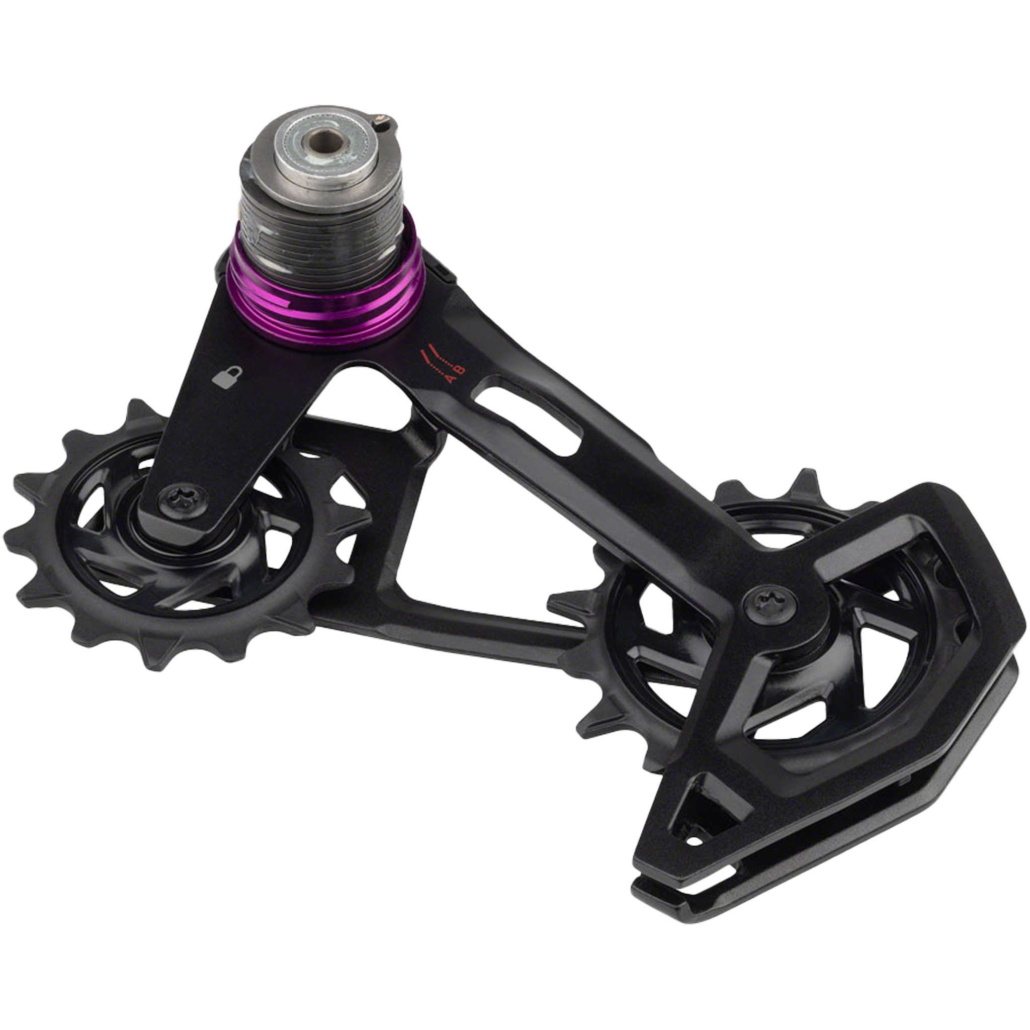 SRAM X0 T-Type AXS Replacement Cage