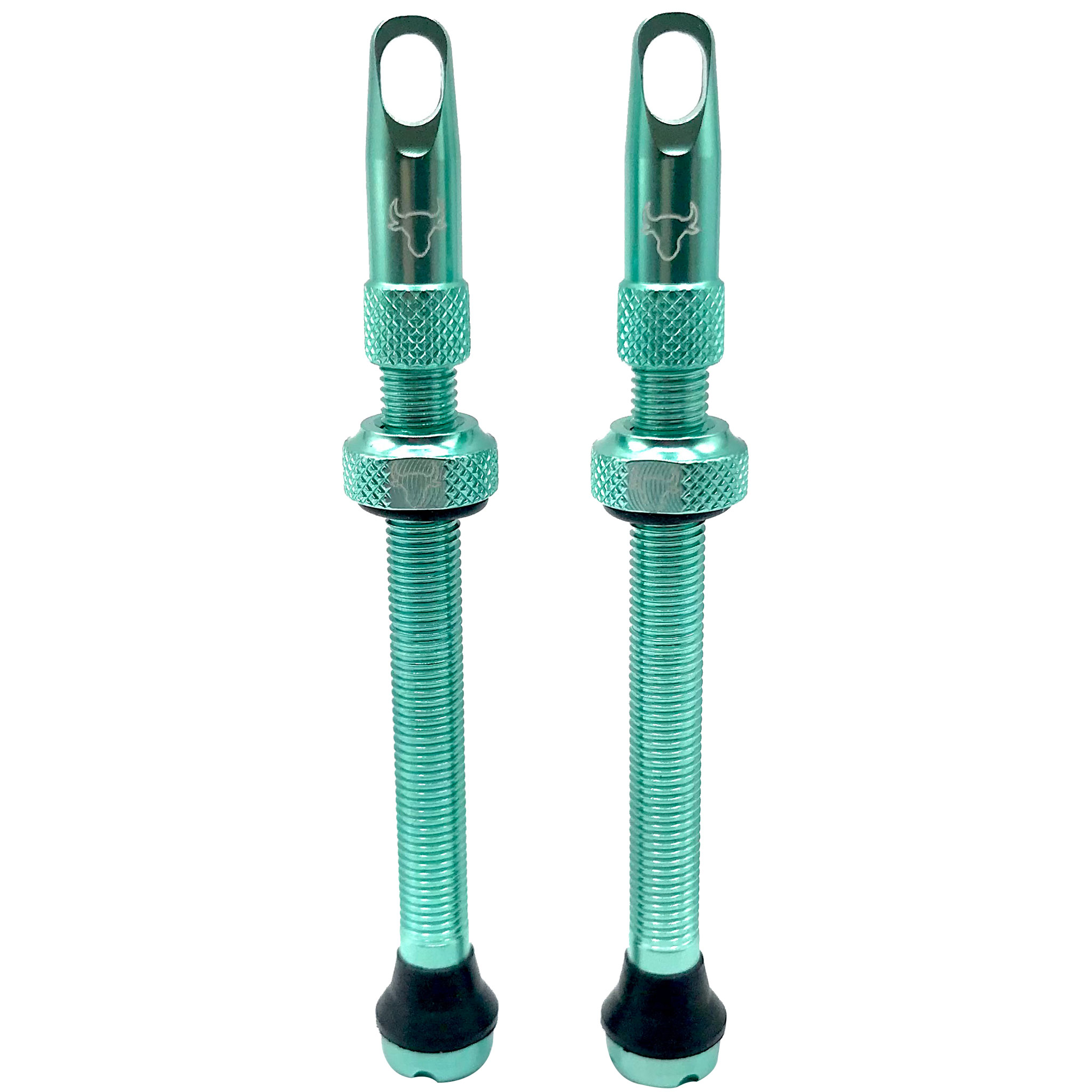 Hold Fast Cycling Tubeless Valve Stem, 65mm (Pair) - Turquoise