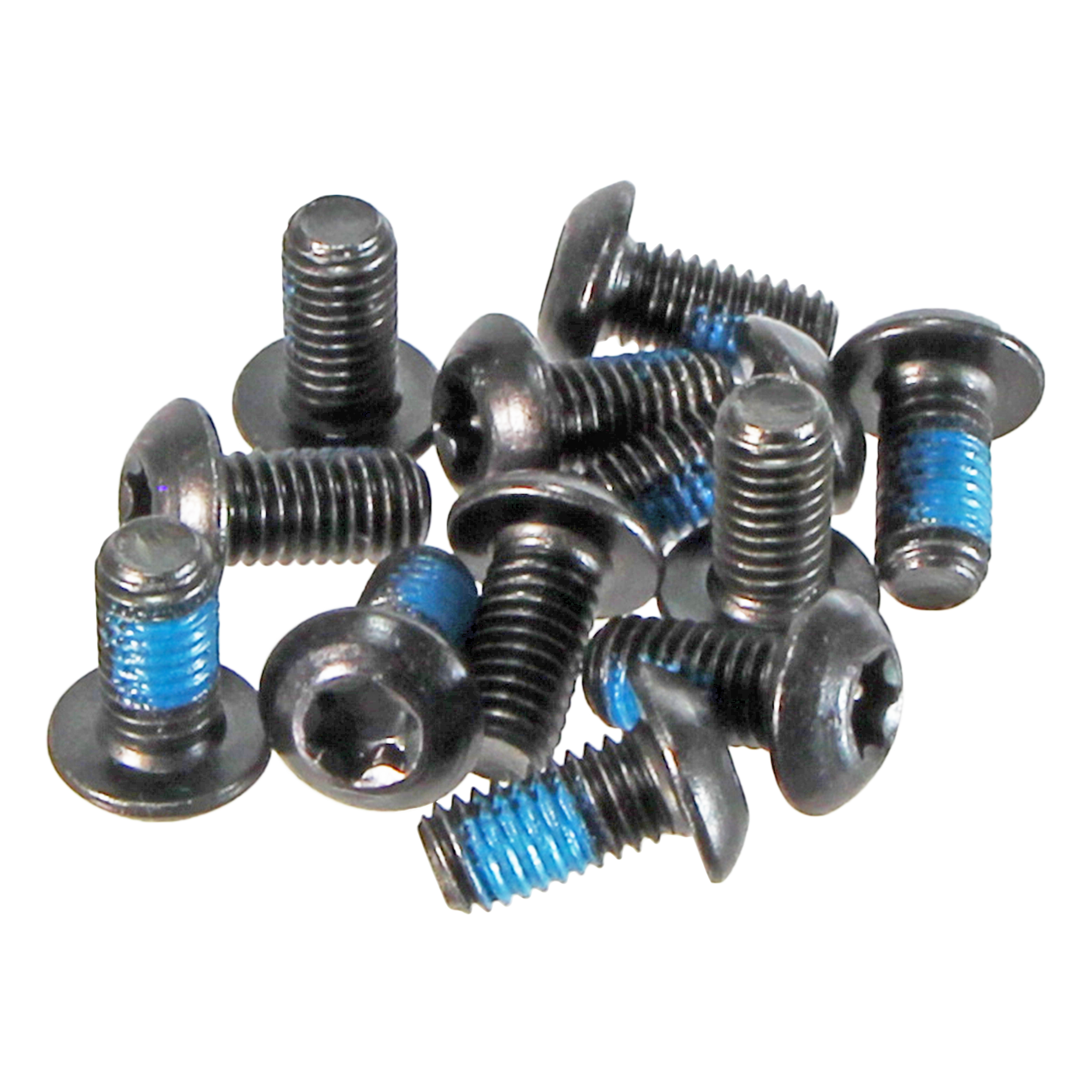 Hayes Brake Torx-T25 Rotor Bolts, (12/Pack)