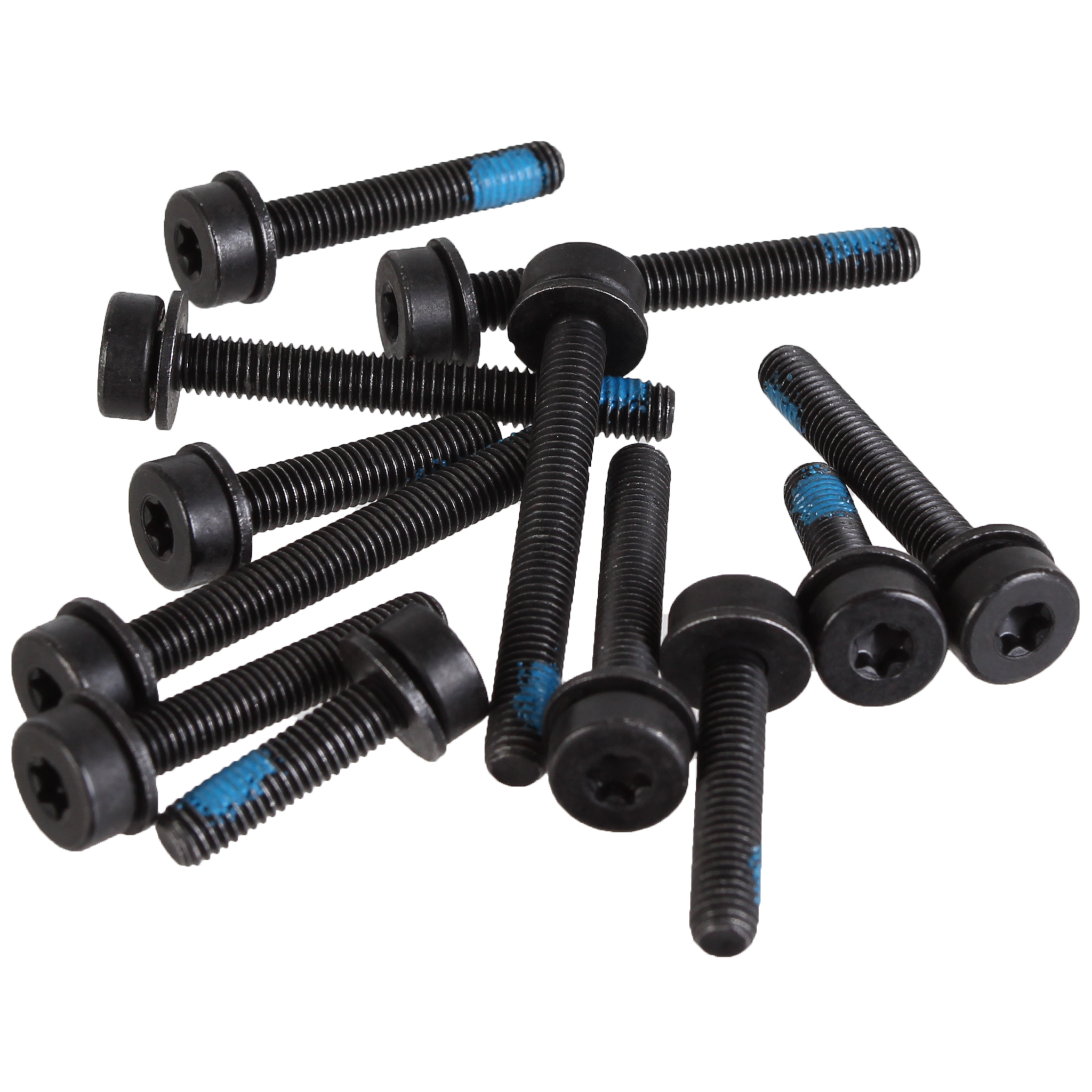 Magura T25 Flat Mount Screw Set, Rear -12/Count Kit