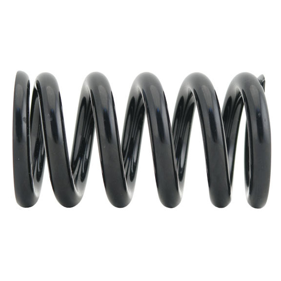 Cane Creek Steel coil spring, 3.5" x 250#