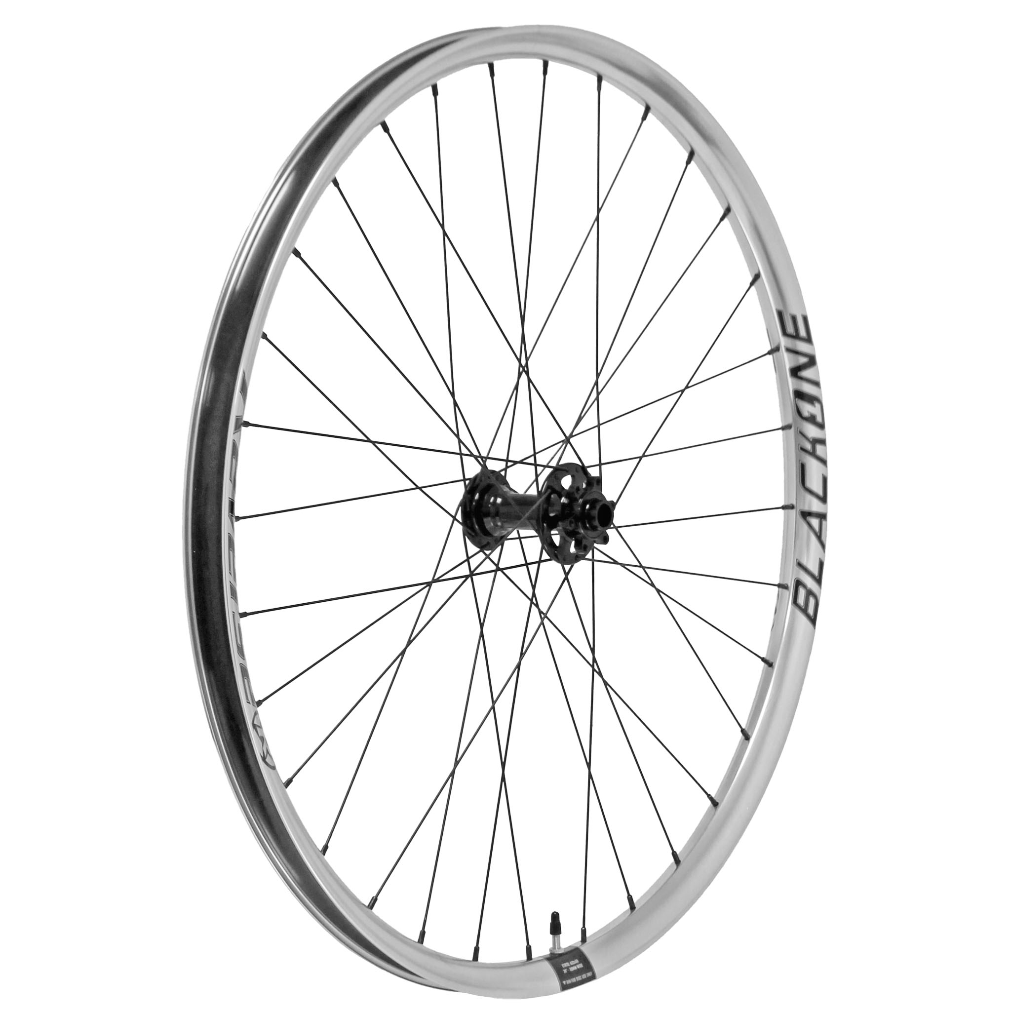 Reverse Black One Wheelset (HG), 29/29", 15x110/12x148mm, Silv