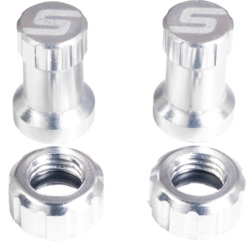 Stan's Tubeless Valve Color Kit, Pair, Silver