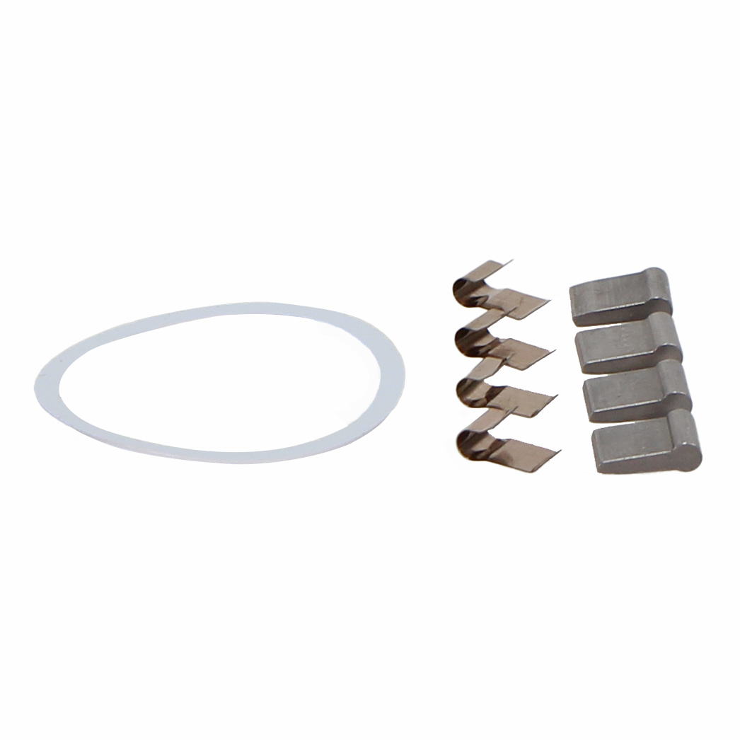 Stan's Pawl and Spring Kit, E-Sync