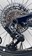 2025 Specialized Stumpjumper EVO Expert T-Type Gloss Dark Navy / Harvest Gold - S1