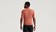 Specialized Men's Specialized Foundation Short Sleeve Jersey Terra Cotta - XS