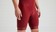 Specialized Men’s Specialized Foundation Bib Shorts Garnet Red - M