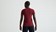 Specialized Women's Wordmark Short Sleeve T-Shirt