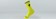 Specialized Soft Air Reflective Tall Socks Hyper Green - M
