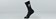 Specialized Soft Air Road Tall Sock Black / White - S