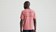 Specialized SBC Short Sleeve Tee Dusty Rose - XS