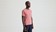 Specialized SBC Short Sleeve Tee Dusty Rose - XS