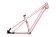 2023 Specialized P.3 Frame 26