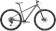 2024 Specialized Rockhopper Expert Satin Smoke / Gloss Chrome - XL 29