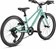 2022 Specialized Jett 20 Gloss Oasis / Forest Green