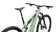 2026 Specialized Turbo Levo R Expert Satin Pistachio / Dark Moss Green - S4