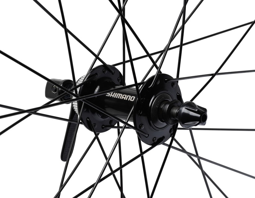 Stout 29 rims online