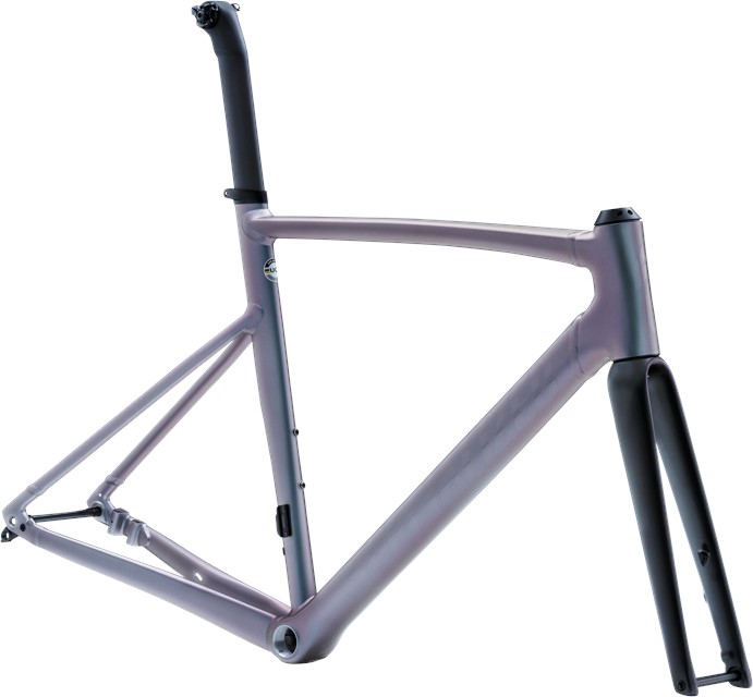 2022 Specialized Allez Sprint Frameset Aluminum / Color Run / Satin Logos - 61