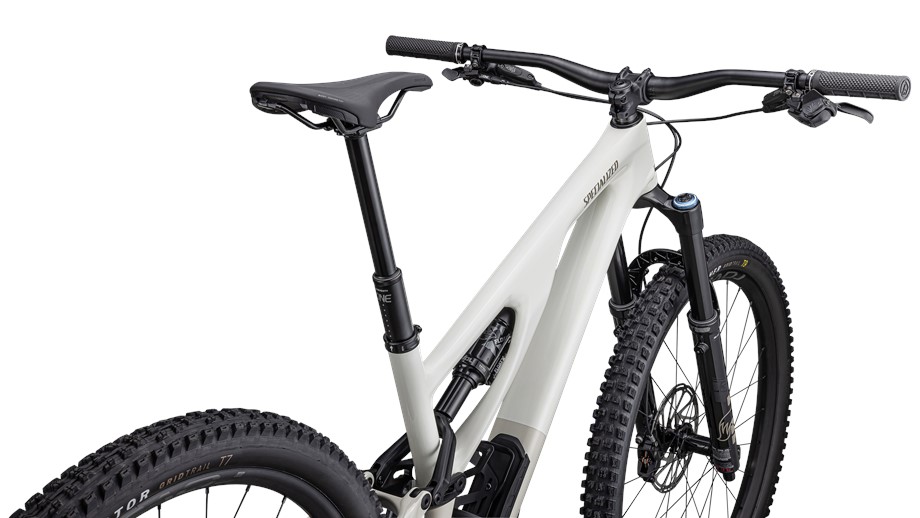 2023 Specialized Stumpjumper EVO Expert Gloss Birch / Taupe - S6