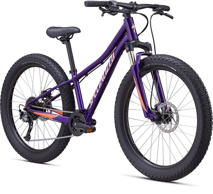 specialized riprock 2019