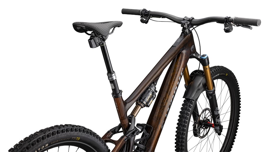 2025 Specialized S-Works Turbo Levo SL Brntnt / Gun / Ashgry S1