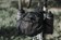 Topeak Backloader Wishbone
