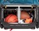 Burley D'Lite X Child Trailer - Double, Aqua 