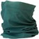 WHISKY Go Fast, Get Fancy Neck Gaiter - Green, One Size 