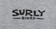 Surly The Ultimate Frisbee Women's T-Shirt - Gray, Large 