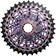 SRAM RED XG-1290 Cassette - 12-Speed, 10-36t, For XDR Driver Body, Rainbow, E1