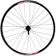 Sta-Tru Double Wall Rear Wheel - 700c, QR, 10 x 130mm, HG 10 MTN, Black, 19i