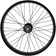 Benno Rear Wheel - 20" RemiDemi  2019-21 - Shimano HG, 20", 6-blt Disc, 3/8x190mm Bolt-on, Coral Pink