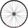 Quality Wheels Bear Pawls / DT Swiss E593 Rear Wheel - 26", 10 x 135mm Bolt-On, 6-Bolt, 13T Single-Speed, Black, 32H