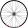 Quality Wheels Bear Pawls / DT Swiss E593 Rear Wheel - 26", 10 x 135mm Bolt-On, 6-Bolt, 13T Single-Speed, Black, 32H