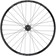 Quality Wheels Bear Pawls / RaceFace AR Rear Wheel - 29", 12 x 148mm, 6-Bolt, HG 11 MTN, Black