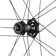 Campagnolo Shamal Dual Profile Rear Wheel - 700c, 12 x 142mm, Center-Lock, N3W, 2-Way Fit, Carbon