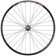 Quality Wheels Deore M610/DT 533d Rear Wheel - 29", 12 x 148mm Boost, Center-Lock, HG 10, Black