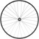 Quality Wheels Value Double Wall Series Disc Rear Wheel - 700, 12 x 142mm, Center-Lock, HG 11 Road, Black