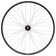 Stan's Arch MK4 LTD Rear Wheel - 29", 12 x 142mm, 6-Bolt, HG11, 32H