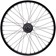 Salt Plus Summit Rear Wheel - 20", 14 x 110mm, Rim Brake, LSD Freecoaster, Black, Clincher 