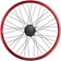 Salt Everest Rear Wheel - 20", 14 x 110mm, Rim Brake, Freecoaster, Red, Clincher 