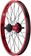 Salt Everest Rear Wheel - 20", 14 x 110mm, Rim Brake, Freecoaster, Red, Clincher 